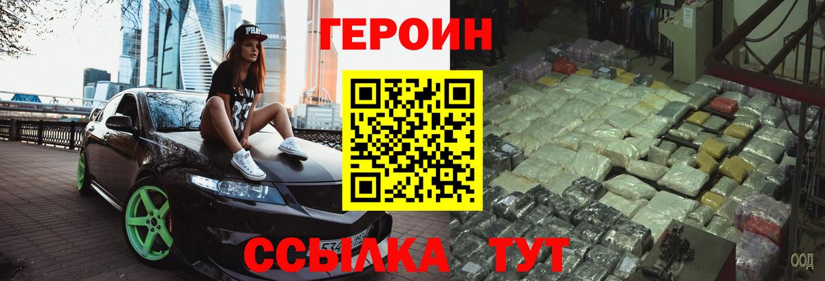 ГЕРОИН хмурый Новодвинск