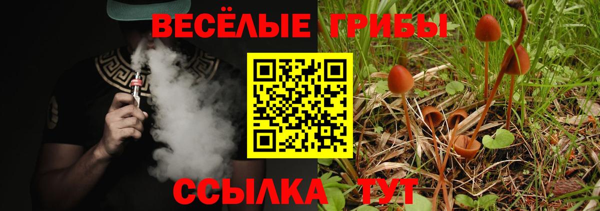 Псилоцибиновые грибы Psilocybine cubensis  Вход с VPN  Новодвинск 